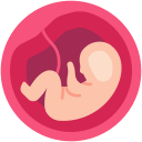 Necesito que una  <br> gestante lleve el  <br>embarazo por mi