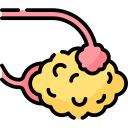 Síndrome de  <br>ovario poliquístico